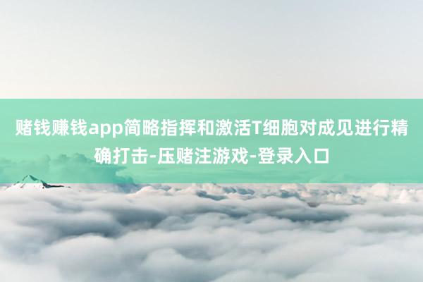 赌钱赚钱app简略指挥和激活T细胞对成见进行精确打击-压赌注游戏-登录入口