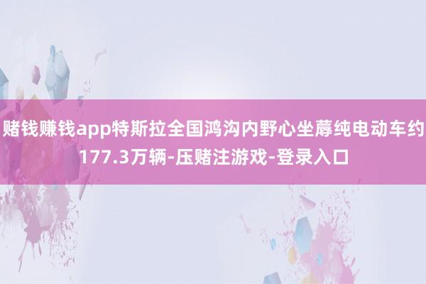 赌钱赚钱app特斯拉全国鸿沟内野心坐蓐纯电动车约177.3万辆-压赌注游戏-登录入口