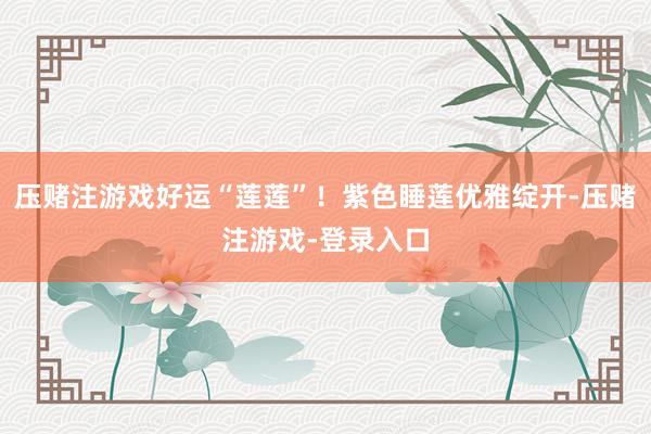 压赌注游戏好运“莲莲”！紫色睡莲优雅绽开-压赌注游戏-登录入口