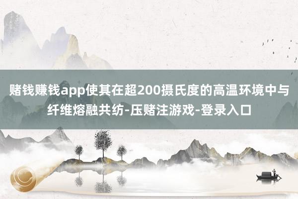 赌钱赚钱app使其在超200摄氏度的高温环境中与纤维熔融共纺-压赌注游戏-登录入口