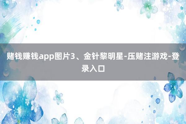 赌钱赚钱app图片3、金针黎明星-压赌注游戏-登录入口