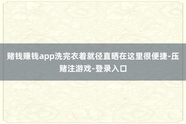 赌钱赚钱app洗完衣着就径直晒在这里很便捷-压赌注游戏-登录入口