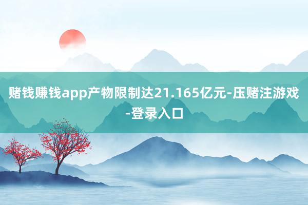 赌钱赚钱app产物限制达21.165亿元-压赌注游戏-登录入口