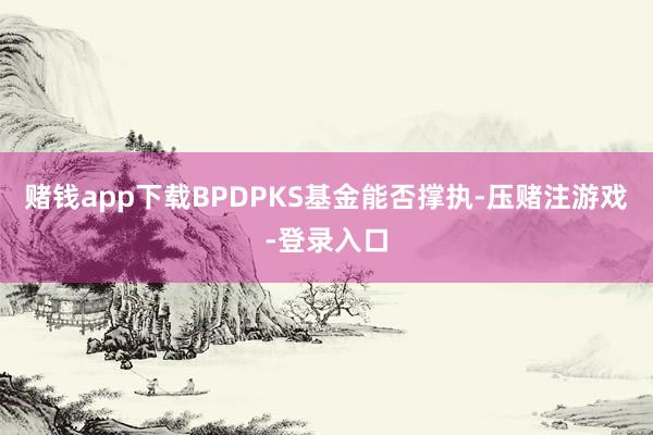 赌钱app下载BPDPKS基金能否撑执-压赌注游戏-登录入口
